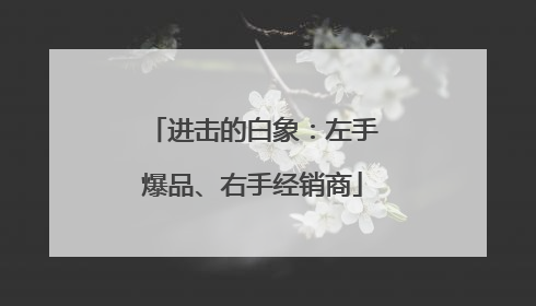 进击的白象：左手爆品、右手经销商