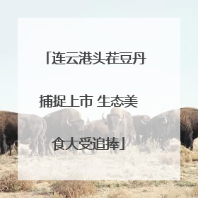 连云港头茬豆丹捕捉上市 生态美食大受追捧