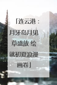 连云港：月牙岛月见草盛放 绘就初夏浪漫画卷
