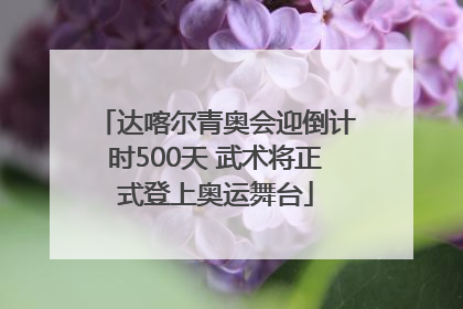 达喀尔青奥会迎倒计时500天 武术将正式登上奥运舞台