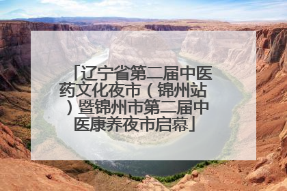 辽宁省第二届中医药文化夜市（锦州站）暨锦州市第二届中医康养夜市启幕