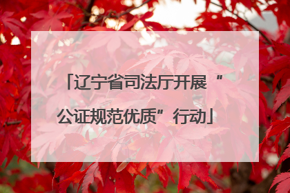辽宁省司法厅开展“公证规范优质”行动