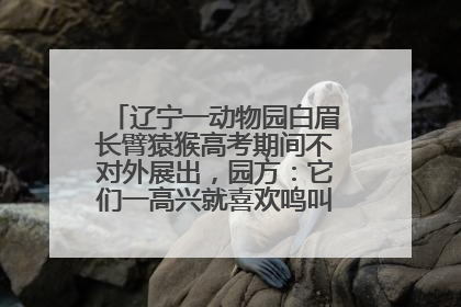辽宁一动物园白眉长臂猿猴高考期间不对外展出，园方：它们一高兴就喜欢鸣叫，怕影响考试