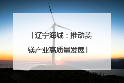 辽宁海城：推动菱镁产业高质量发展