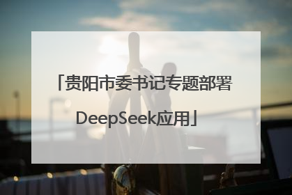 贵阳市委书记专题部署DeepSeek应用