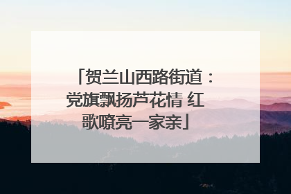 贺兰山西路街道：党旗飘扬芦花情 红歌嘹亮一家亲