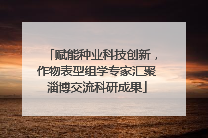 赋能种业科技创新，作物表型组学专家汇聚淄博交流科研成果