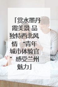赏水墨丹霞美景 品独特西北风情 “青年城市体验官”感受兰州魅力