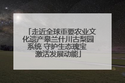 走近全球重要农业文化遗产皋兰什川古梨园系统 守护生态瑰宝 激活发展动能