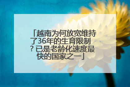 越南为何放宽维持了36年的生育限制？已是老龄化速度最快的国家之一