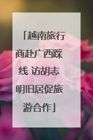 越南旅行商赴广西踩线 访胡志明旧居促旅游合作