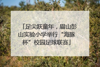 足尖跃童年，眉山彭山实验小学举行“海豚杯”校园足球联赛
