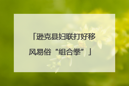 逊克县妇联打好移风易俗“组合拳”