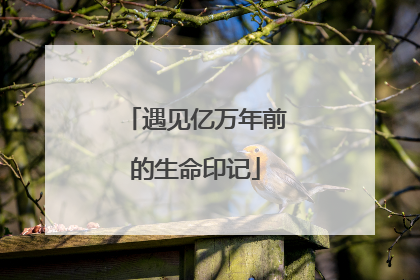 遇见亿万年前的生命印记