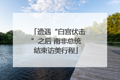 遭遇“白宫伏击”之后 南非总统结束访美行程