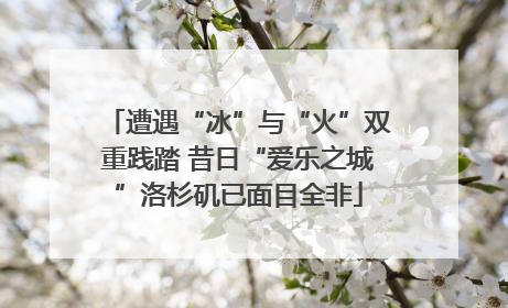 遭遇“冰”与“火”双重践踏 昔日“爱乐之城”洛杉矶已面目全非
