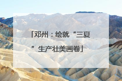 邓州：绘就“三夏”生产壮美画卷