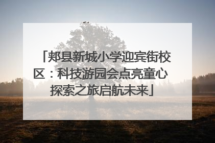 郏县新城小学迎宾街校区：科技游园会点亮童心 探索之旅启航未来