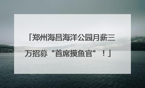 郑州海昌海洋公园月薪三万招募“首席摸鱼官”！