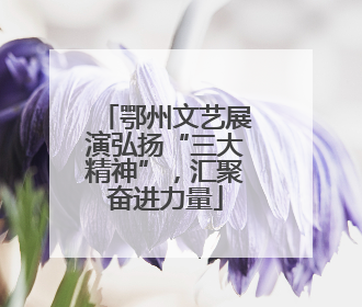 鄂州文艺展演弘扬“三大精神”，汇聚奋进力量