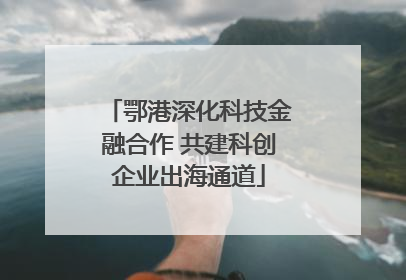 鄂港深化科技金融合作 共建科创企业出海通道