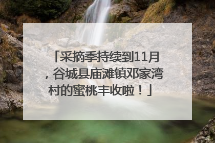采摘季持续到11月，谷城县庙滩镇邓家湾村的蜜桃丰收啦！