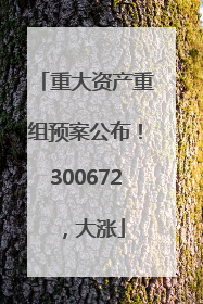 重大资产重组预案公布！300672，大涨