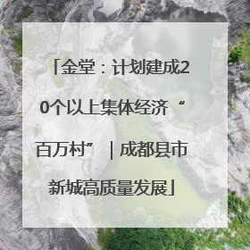 金堂：计划建成20个以上集体经济“百万村”｜成都县市新城高质量发展