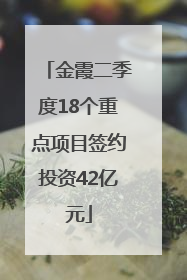 金霞二季度18个重点项目签约投资42亿元