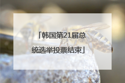 韩国第21届总统选举投票结束
