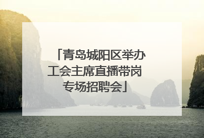 青岛城阳区举办工会主席直播带岗专场招聘会