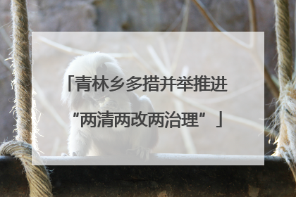 青林乡多措并举推进“两清两改两治理”
