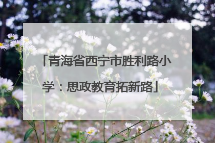 青海省西宁市胜利路小学：思政教育拓新路