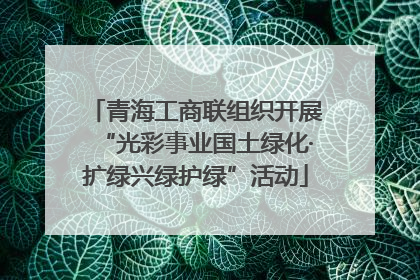 青海工商联组织开展“光彩事业国土绿化·扩绿兴绿护绿”活动