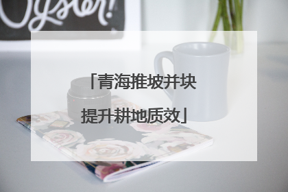 青海推坡并块提升耕地质效