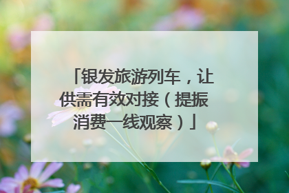 银发旅游列车，让供需有效对接（提振消费一线观察）