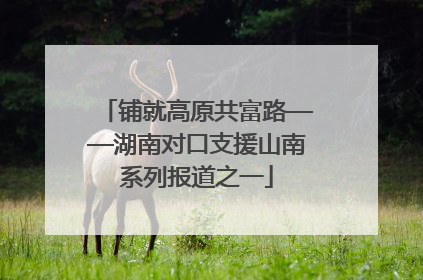 铺就高原共富路——湖南对口支援山南系列报道之一