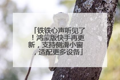 铁铁心声听见了！鸿蒙版快手再更新，支持侧滑小窗，适配更多设备