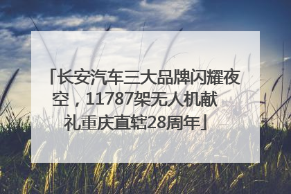 长安汽车三大品牌闪耀夜空，11787架无人机献礼重庆直辖28周年