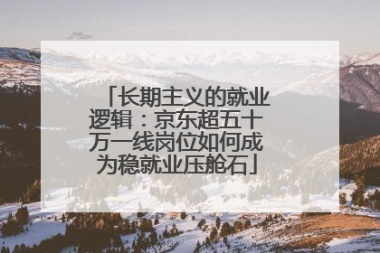 长期主义的就业逻辑：京东超五十万一线岗位如何成为稳就业压舱石