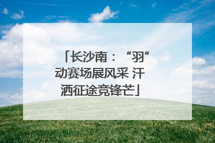 长沙南：“羽”动赛场展风采 汗洒征途竞锋芒