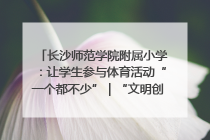 长沙师范学院附属小学：让学生参与体育活动“一个都不少”｜“文明创建耀三湘”专栏