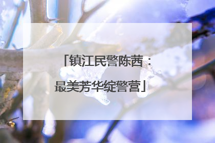 镇江民警陈茜：最美芳华绽警营
