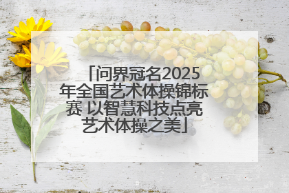 问界冠名2025年全国艺术体操锦标赛 以智慧科技点亮艺术体操之美