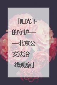 阳光下的守护——北京公安法治一线观察
