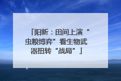 阳新：田间上演“虫粮博弈”看生物武器扭转“战局”