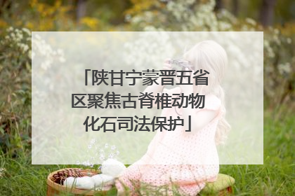 陕甘宁蒙晋五省区聚焦古脊椎动物化石司法保护