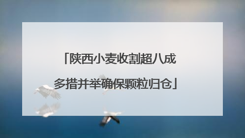 陕西小麦收割超八成 多措并举确保颗粒归仓