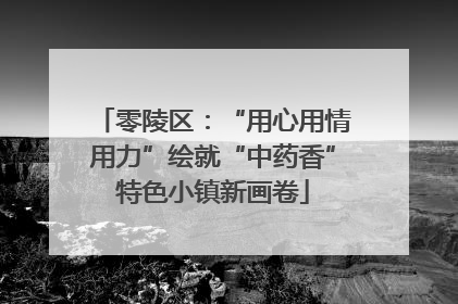 零陵区：“用心用情用力”绘就“中药香”特色小镇新画卷