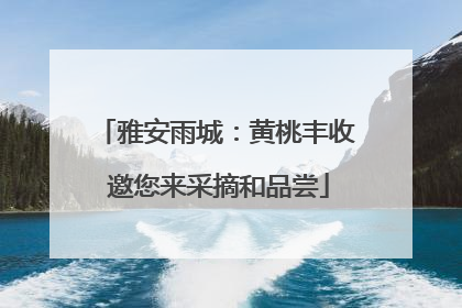 雅安雨城：黄桃丰收 邀您来采摘和品尝